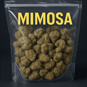Mimosa | Recommended Great Smoke | Hybrid | AAA🔥Discounted