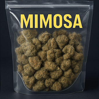 Mimosa | Recommended Great Smoke | Hybrid | AAA🔥Discounted