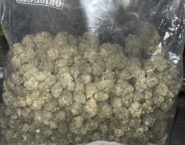 Summer Deal Mix Pic Cheap Pics Cheap Packs 40+ different Strain