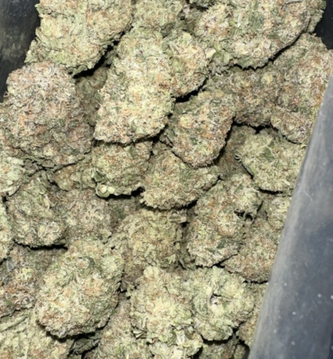 Grape Kush | Frosted | New!! Recommended AAA+ Discounted