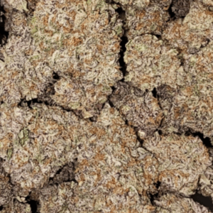 Pink Kush | Frosted | New!!