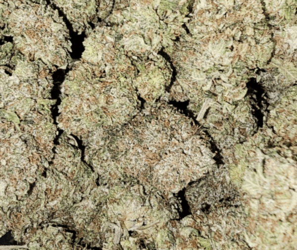 Pink Kush | Frosted | New!! - Image 3