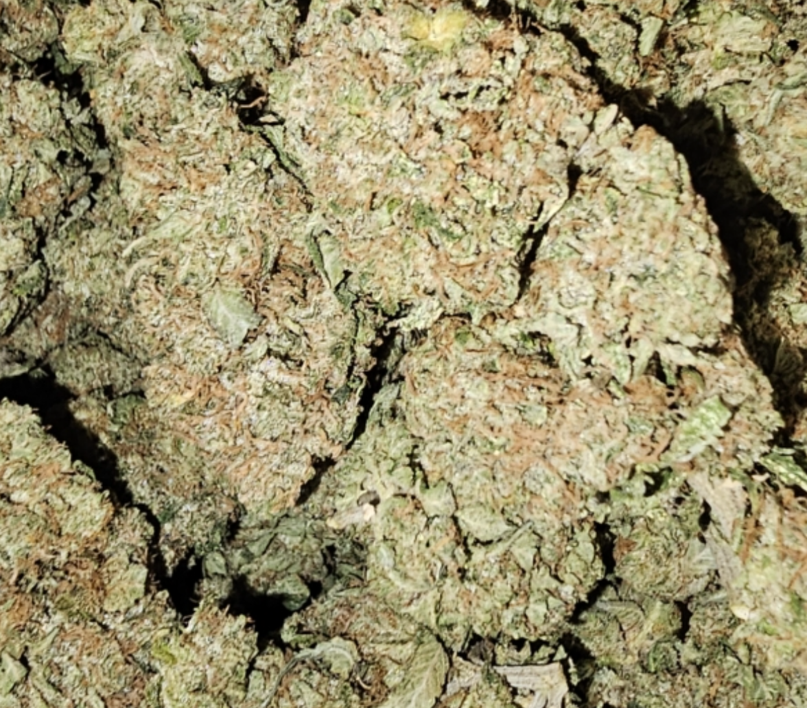 Stimulus | Exotic Sativa | Discounted - Image 2
