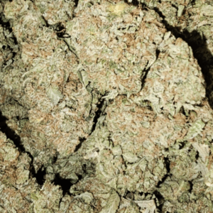 El Chapo | Frosted | New!! Recommended AAA+