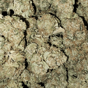 Stimulus | Exotic Sativa | Discounted