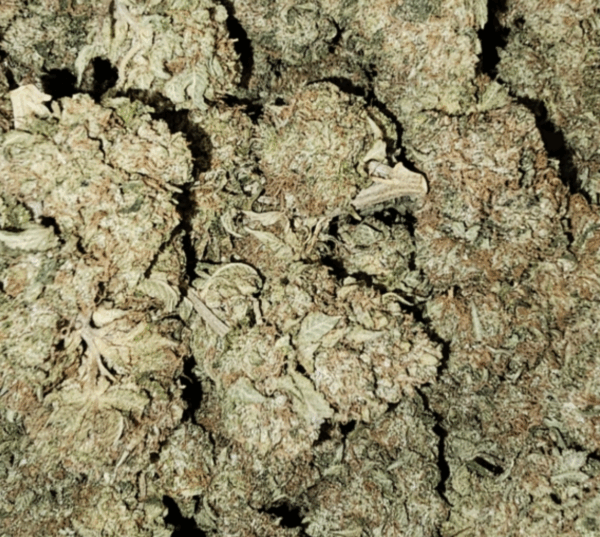 Stimulus | Exotic Sativa | Discounted