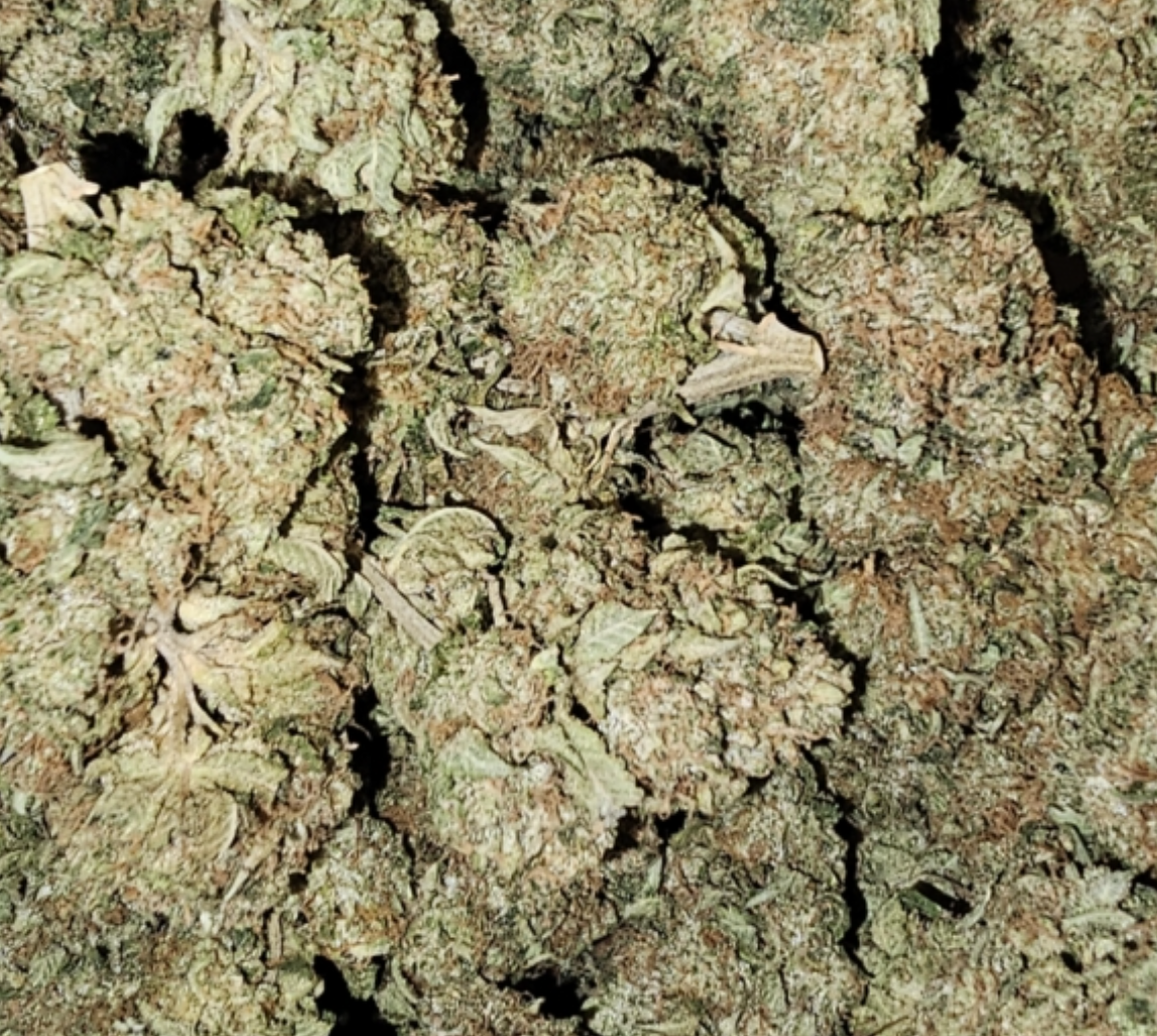 Stimulus | Exotic Sativa | Discounted